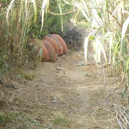 Apartment Naxos Garden *