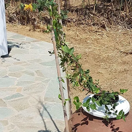 Naxos Garden Apartment