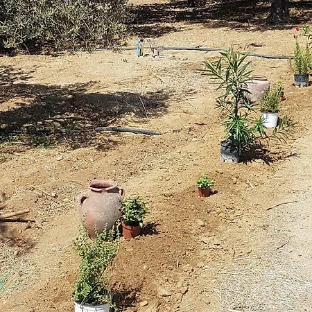 Naxos Garden * Naxos City
