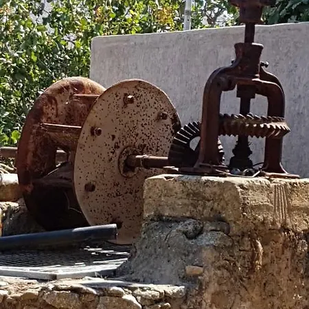Naxos Garden *