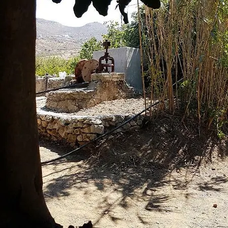Naxos Garden * Naxos City